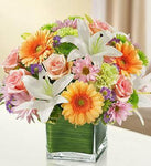 Healing_Tears_-_Pastel_d1c5f6a0-e51e-4715-bc98-f4bb295bb58d_large-a.jpg