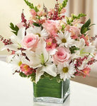 Healing_Tears_-_Pink_White_b8bbb585-9aa6-40c3-98fa-4d37f2c86f1d_large-a.jpg