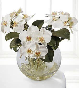 Silk_Botanicals_White_Phalaenopsis_Orchid_7da4a69d-4a63-4d37-9f71-350802fe471a_large-a.jpg