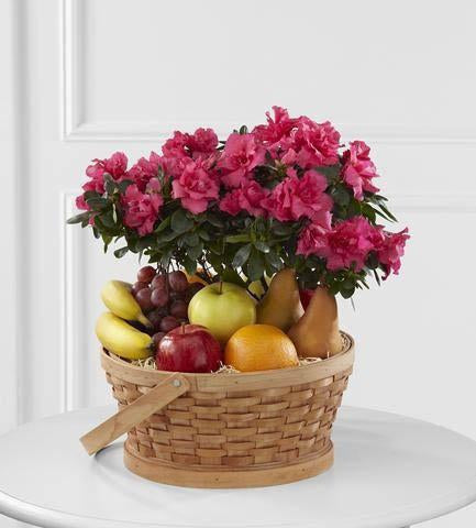 The_FTD_Encircling_Grace_Fruit_Plant_Basket_S56-4573_58a45cb5-4617-413c-b289-3481755e6033_large-a.jpg