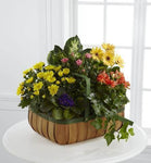 The_FTD_Gentle_Blossoms_Basket_4f0a90fe-f433-488f-adc8-e917e0c37d4d_large-a.jpg